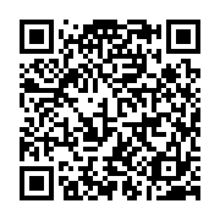QR code for A19333