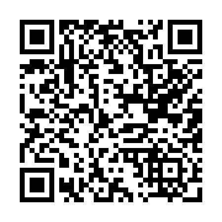 QR code for A25313
