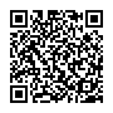 QR code for A28171