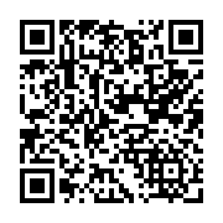 QR code for A28417