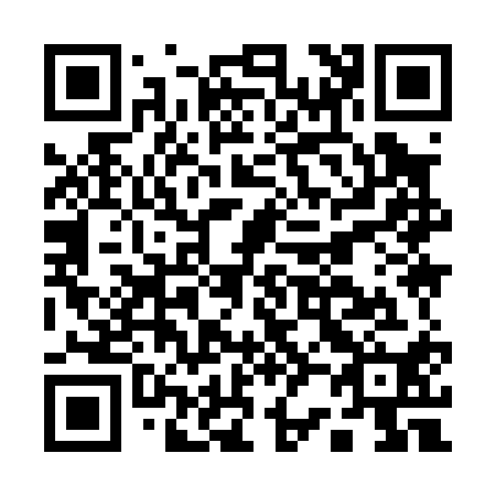 QR code for A29010
