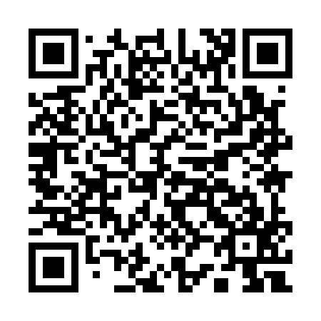 QR code for A29197