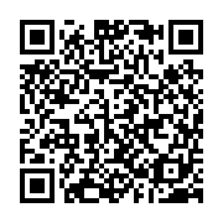 QR code for A29251