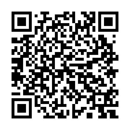 QR code for A29310