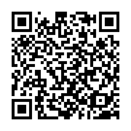 QR code for A29339