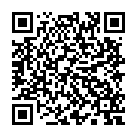 QR code for A29517