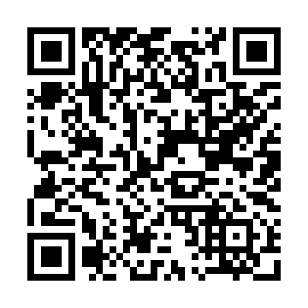 QR code for A29991