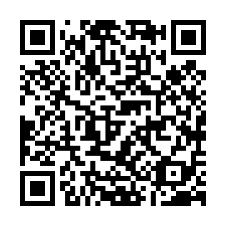 QR code for A38419