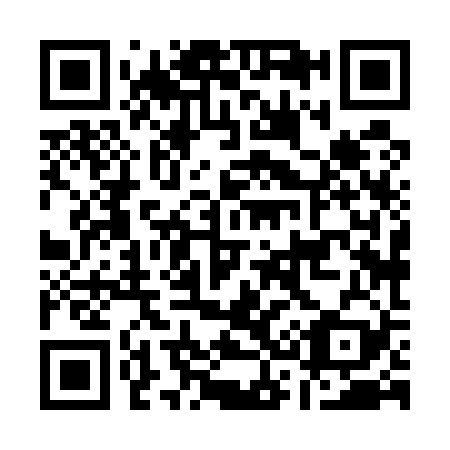 QR code for A38529