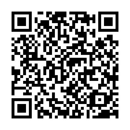 QR code for A38729