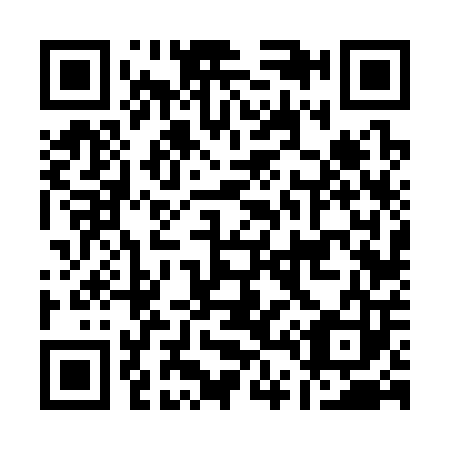 QR code for A46303