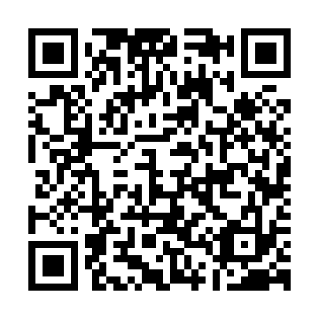 QR code for A46833