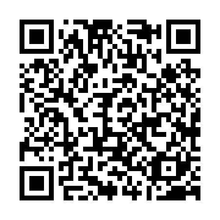 QR code for A48221