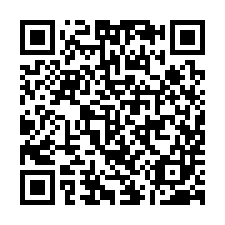 QR code for A51383