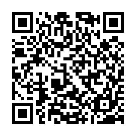QR code for A63517