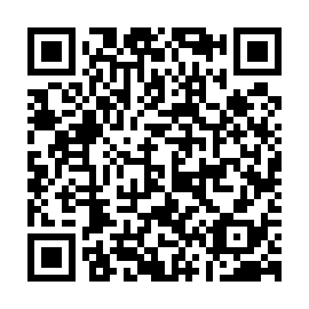 QR code for A66538