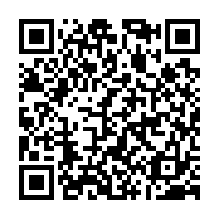 QR code for A69733