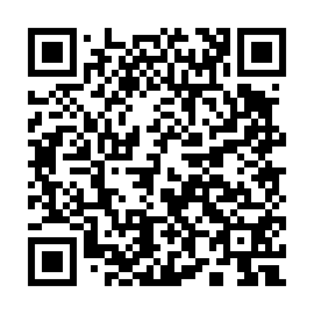 QR code for A80450