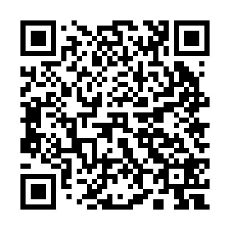 QR code for A85228
