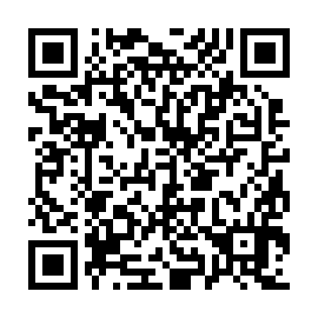QR code for A93294