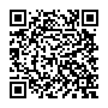 QR code for A95029