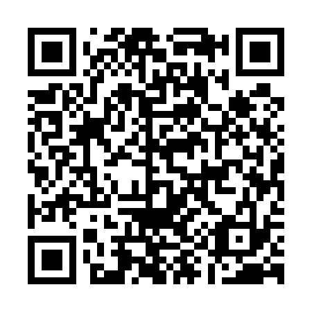 QR code for A95533