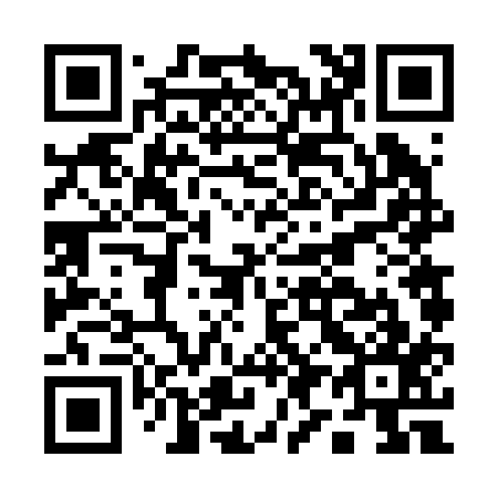 QR code for A96217