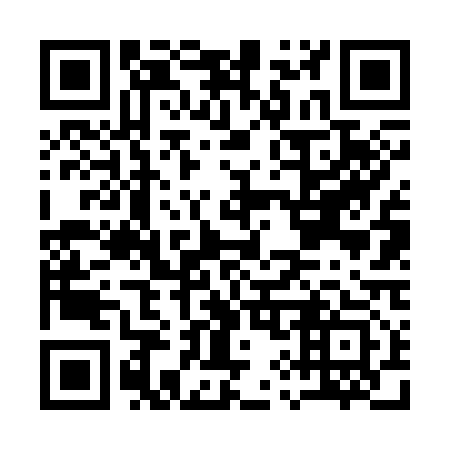 QR code for A96313