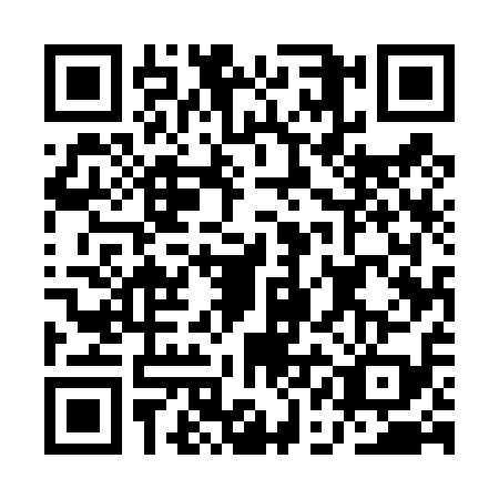 QR code for AAE-4199