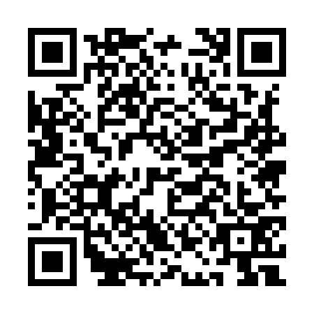 QR code for AAE9731
