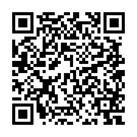 QR code for plate ABS-4838