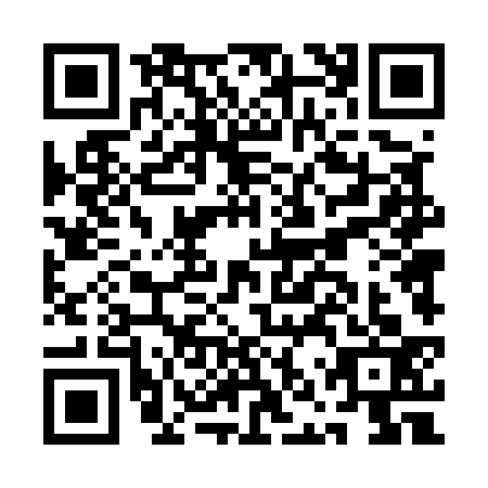 QR code for plate ANT-5338