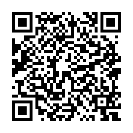 QR code for API-2938