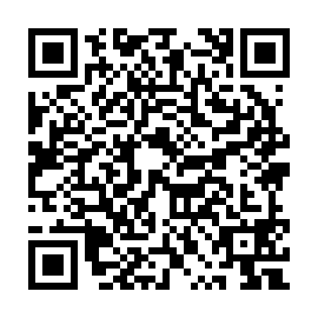 QR code for plate API-2986