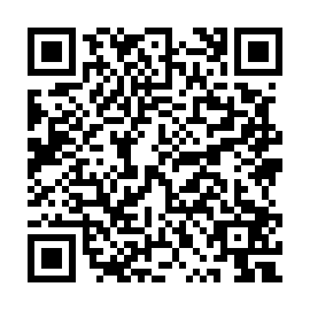 QR code for plate API-5033