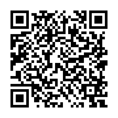 QR code for plate API-9833