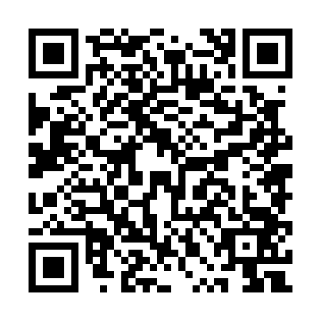 QR code for plate APN-0439