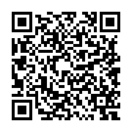 QR code for plate APT-8171