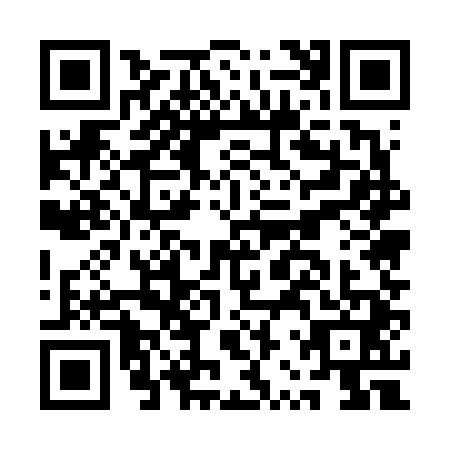 QR code for ARU6411