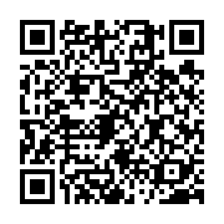 QR code for plate AVE-6294