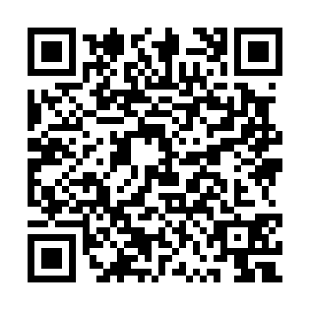 QR code for plate AVI-0307