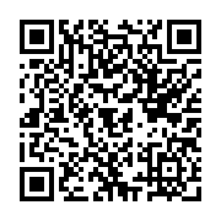 QR code for plate AYL-0863