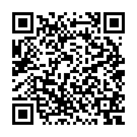 QR code for AYO-2003