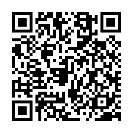 QR code for plate AYR-0317