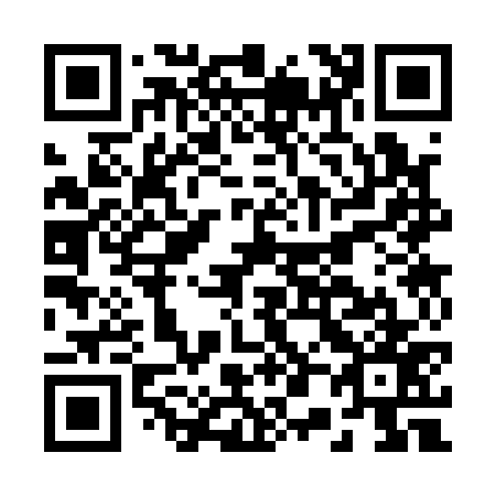 QR code for B03177