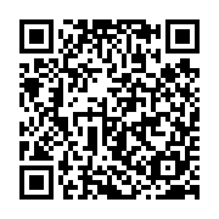 QR code for B03655