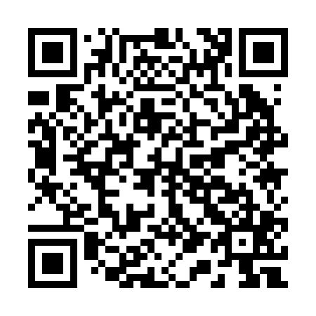 QR code for B11205