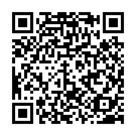 QR code for B11238