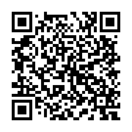 QR code for B11505