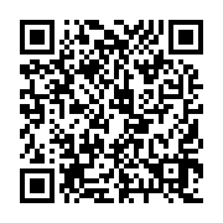 QR code for B11917